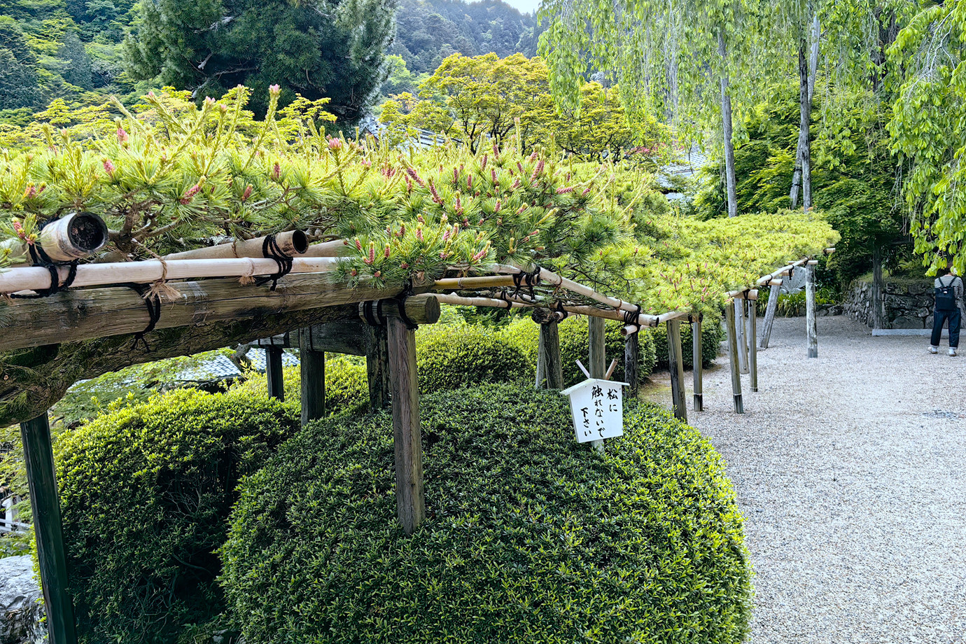 西國三十三所-西山善峯寺